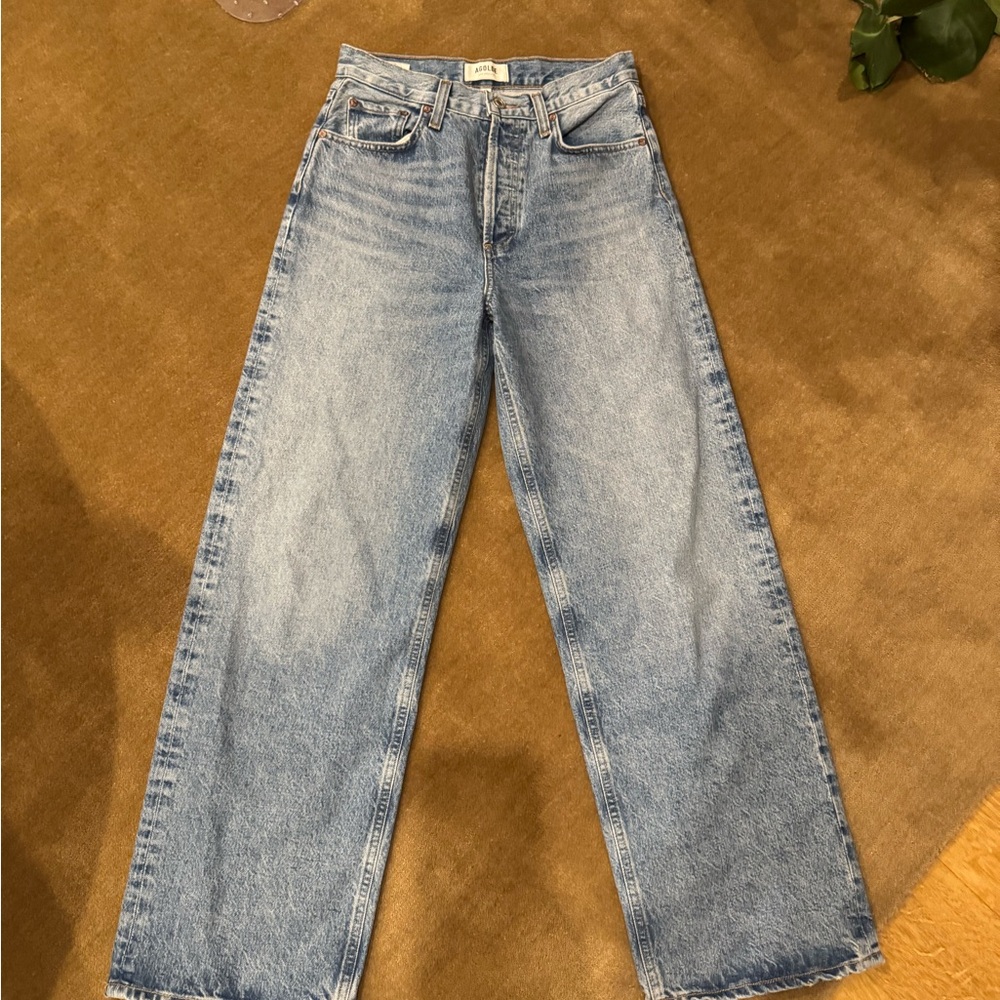 Agolde Low Slung Baggy Jeans